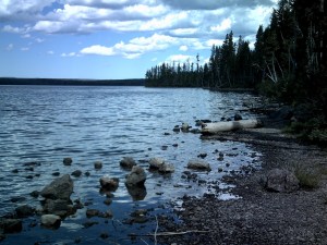 Lewis Lake at Yellowstone National Park