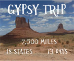 New Gypsy Trip Tag