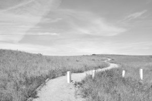 There were white markers around the battlefield to mark where soldiers fell. This group was in a line that ended in the walking path.