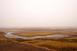 Yellowstone greeted us with a spooky fog laying heavily on the land. 