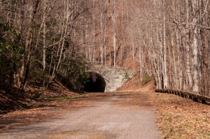 Popularly called "The Road to Nowhere," North Carolina Highway 228 construction was halted in the 1970s due to environmental concerns. Residents of the state fought with the Federal Government until 2010 to receive compensation for the unfinished road. 