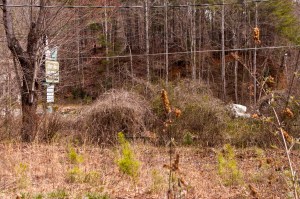 My picture isn't great, but if you look closely, can you can see that white spot on the right? That's the remaining umbrella where the pool used to be. 