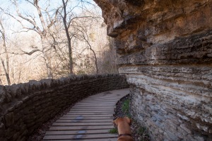 In a rare moment when Emme's little hound dog nose isn't pressed to the ground, she looks ahead under the rock ledge. 