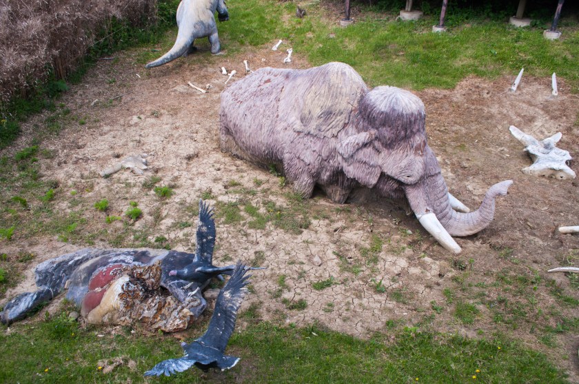 Since all the big bones are long gone from the park, they have displays like this along the discovery trail. I'm not sure if this part is to teach people or scare them? 