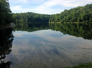 The "lake" is more like a big pond. 